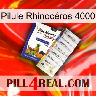 Pilule Rhinocéros 4000 11